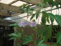 View photo in a new window