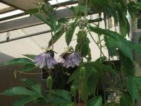 View photo in a new window