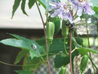 View photo in a new window