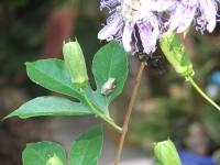 View photo in a new window