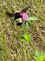 View photo in a new window