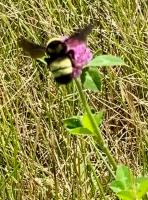 View photo in a new window