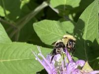 View photo in a new window