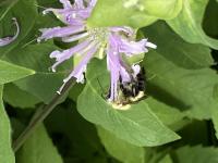 View photo in a new window