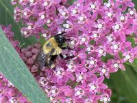 View photo in a new window