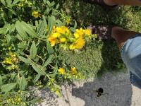 View photo in a new window