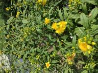 View photo in a new window