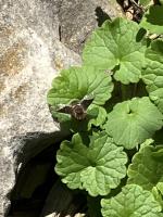 View photo in a new window