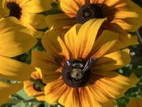 View photo in a new window