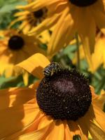 View photo in a new window