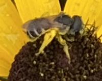 View photo in a new window