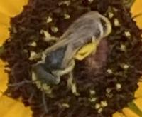 View photo in a new window