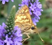 View photo in a new window