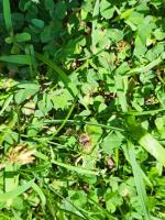 View photo in a new window