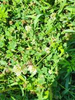 View photo in a new window