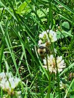 View photo in a new window