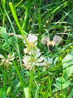 View photo in a new window