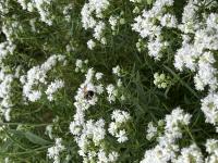 View photo in a new window