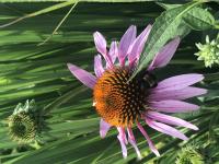 View photo in a new window