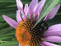 View photo in a new window