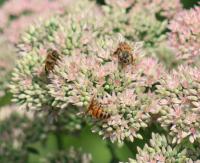 View photo in a new window