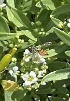 View photo in a new window