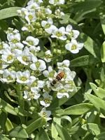 View photo in a new window