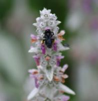 View photo in a new window