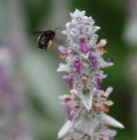 View photo in a new window