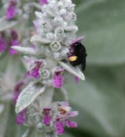 View photo in a new window