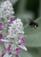 View photo in a new window