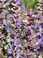 View photo in a new window