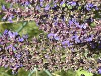 View photo in a new window