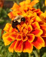 View photo in a new window