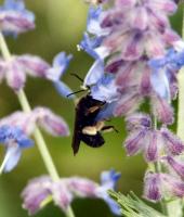 View photo in a new window