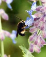 View photo in a new window