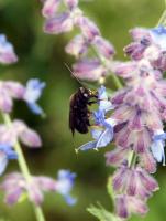 View photo in a new window