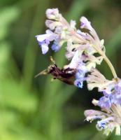 View photo in a new window