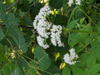 View photo in a new window