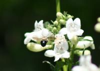 View photo in a new window