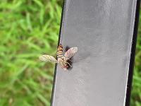 View photo in a new window