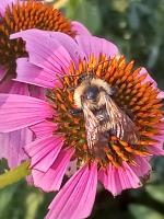 View photo in a new window