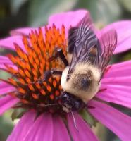 View photo in a new window