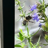 View photo in a new window