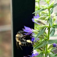 View photo in a new window