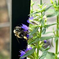 View photo in a new window