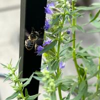 View photo in a new window