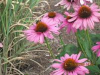 View photo in a new window