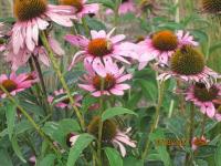 View photo in a new window