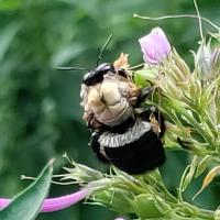 View photo in a new window